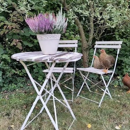 Ruhige „suedhang“ Direkt Am Wald *