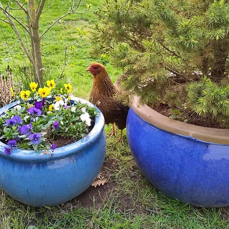 아파트 Ruhige „suedhang“ Direkt Am Wald