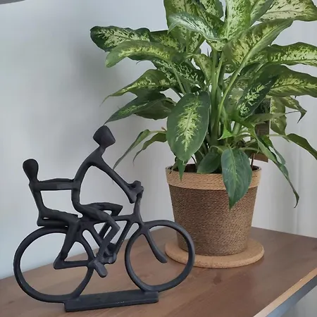 Ruhige „suedhang“ Direkt Am Wald *