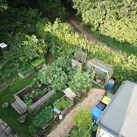 Apartment Ruhige „südhang“ Direkt Am Wald