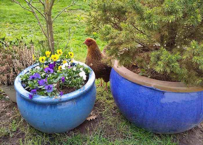 Apartment Ruhige „suedhang“ Direkt Am Wald
