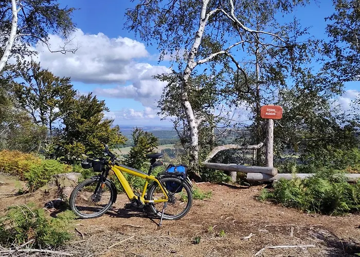 Ruhige „suedhang“ Direkt Am Wald Bad Arolsen