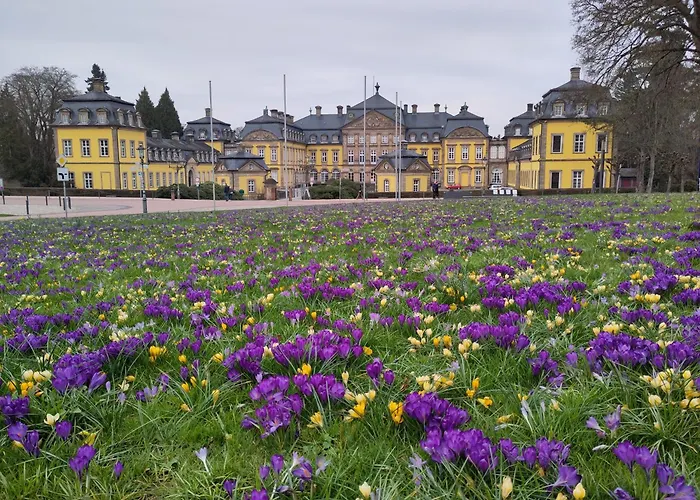 Ruhige „suedhang“ Direkt Am Wald Apartment *